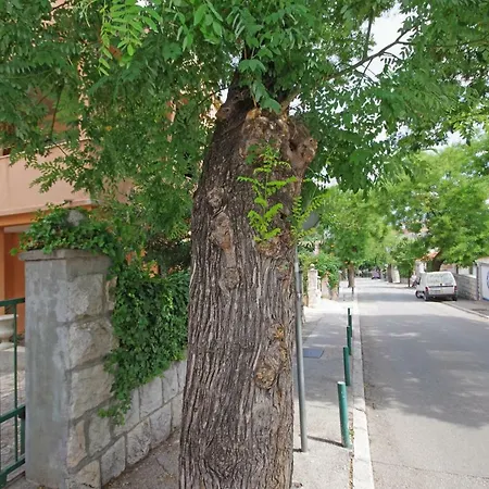 Centre Lex ספליט