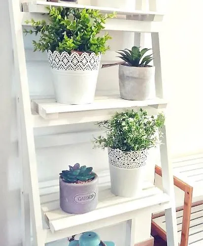 Apartment Centre Lex Split