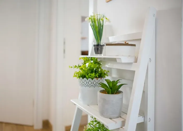 Centre Lex Apartment Split